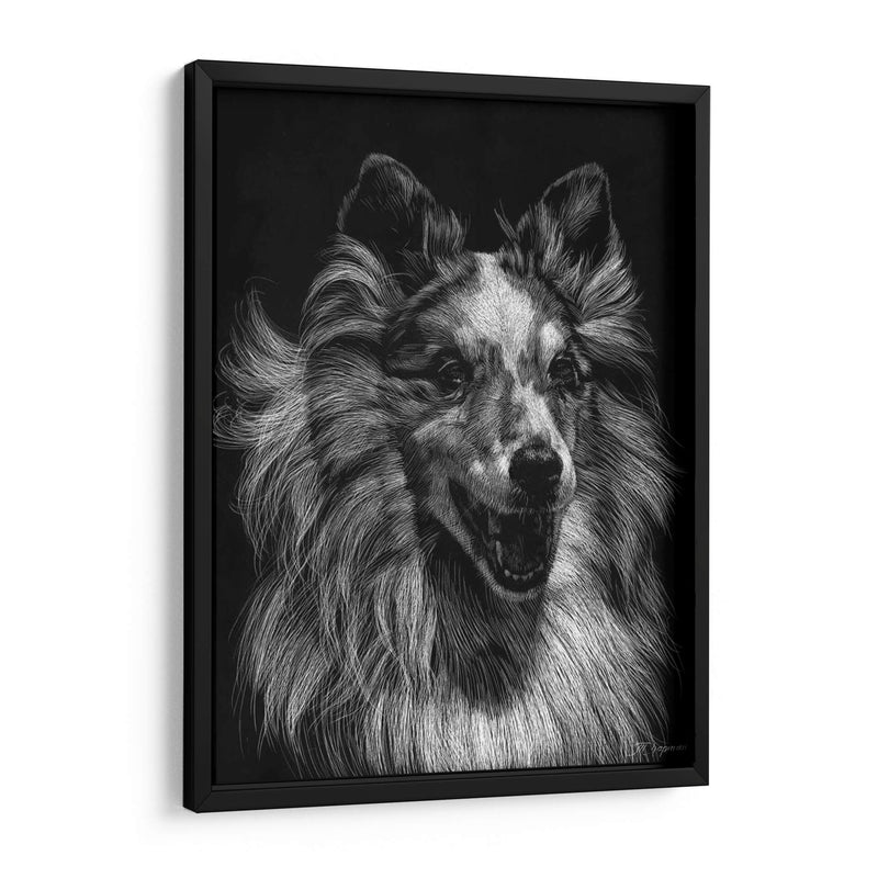 Canino Scratchboard Viii - Julie T. Chapman | Cuadro decorativo de Canvas Lab