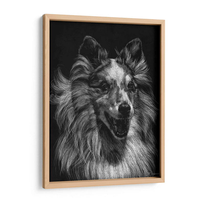 Canino Scratchboard Viii - Julie T. Chapman | Cuadro decorativo de Canvas Lab