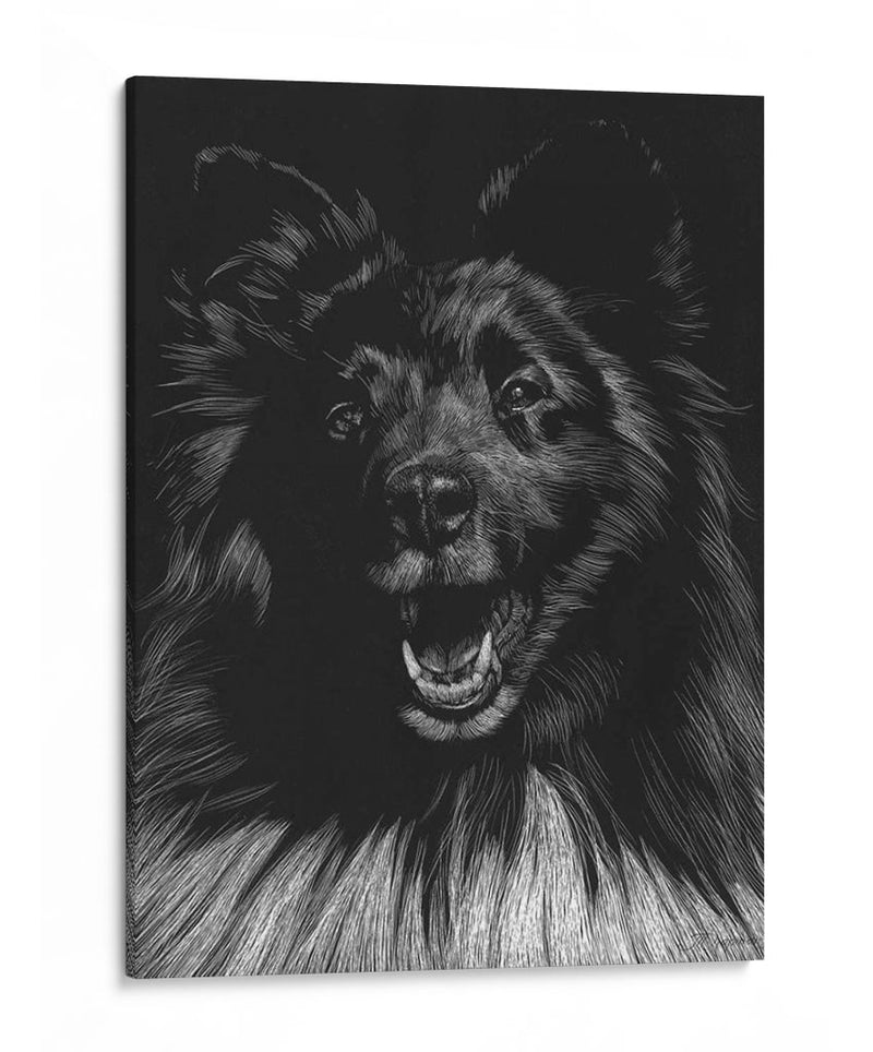 Canino Scratchboard Ix - Julie T. Chapman | Cuadro decorativo de Canvas Lab