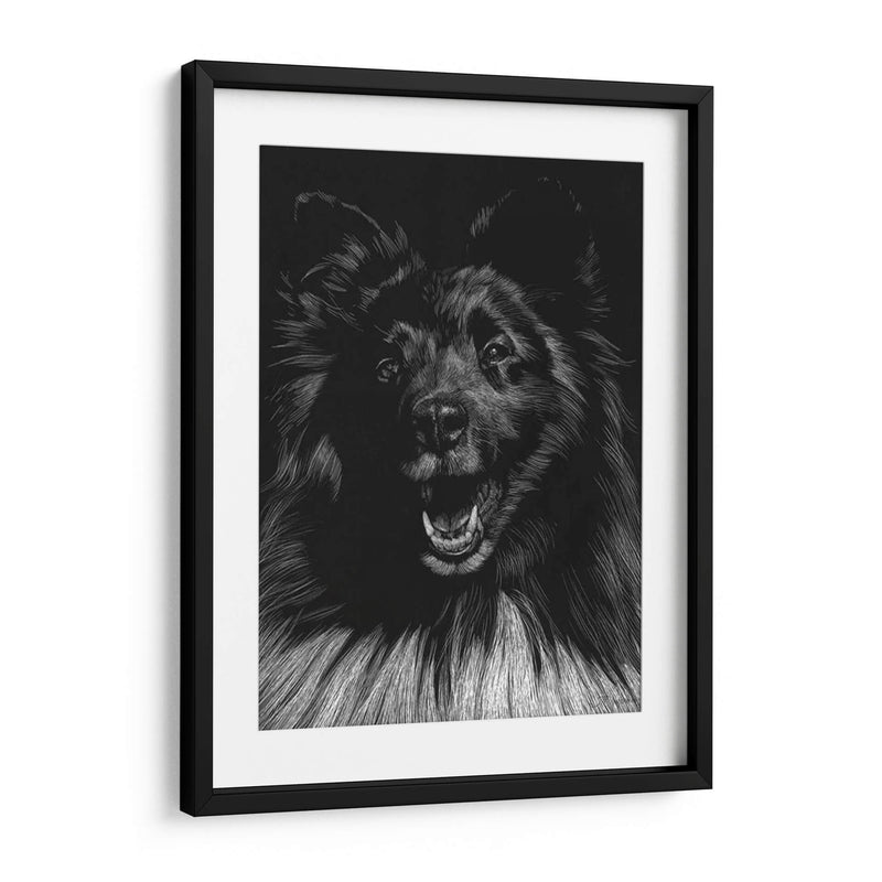 Canino Scratchboard Ix - Julie T. Chapman | Cuadro decorativo de Canvas Lab