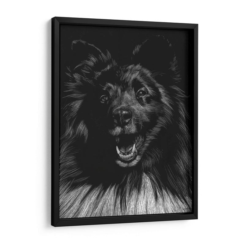 Canino Scratchboard Ix - Julie T. Chapman | Cuadro decorativo de Canvas Lab