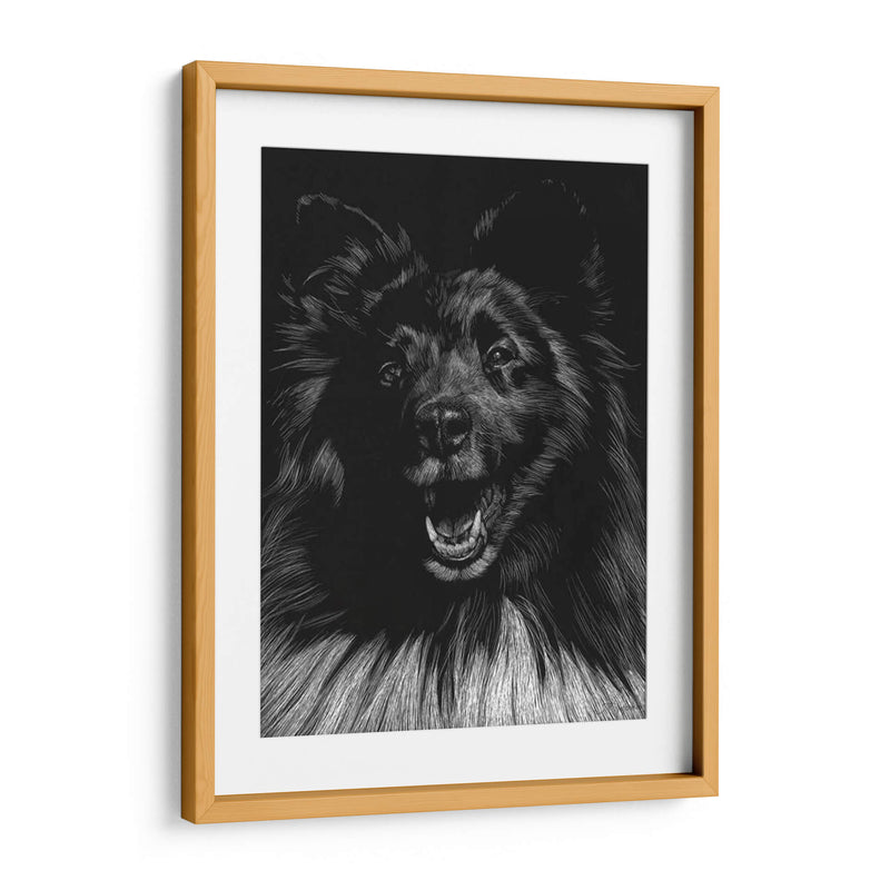 Canino Scratchboard Ix - Julie T. Chapman | Cuadro decorativo de Canvas Lab