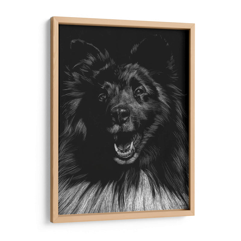 Canino Scratchboard Ix - Julie T. Chapman | Cuadro decorativo de Canvas Lab