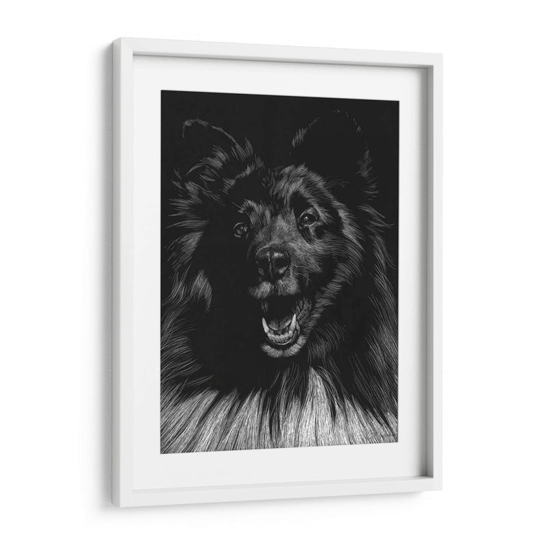 Canino Scratchboard Ix - Julie T. Chapman | Cuadro decorativo de Canvas Lab