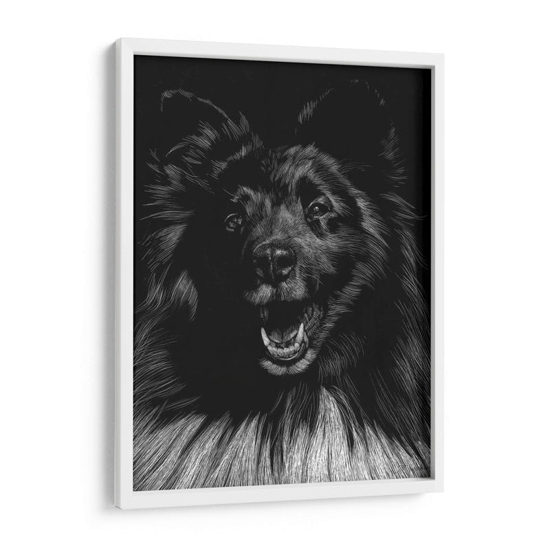 Canino Scratchboard Ix - Julie T. Chapman | Cuadro decorativo de Canvas Lab