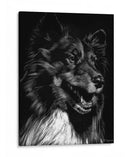 Scratchboard Canino X - Julie T. Chapman | Cuadro decorativo de Canvas Lab