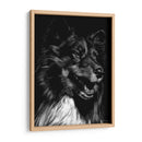 Scratchboard Canino X - Julie T. Chapman | Cuadro decorativo de Canvas Lab
