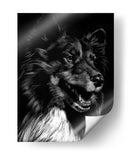 Scratchboard Canino X - Julie T. Chapman | Cuadro decorativo de Canvas Lab