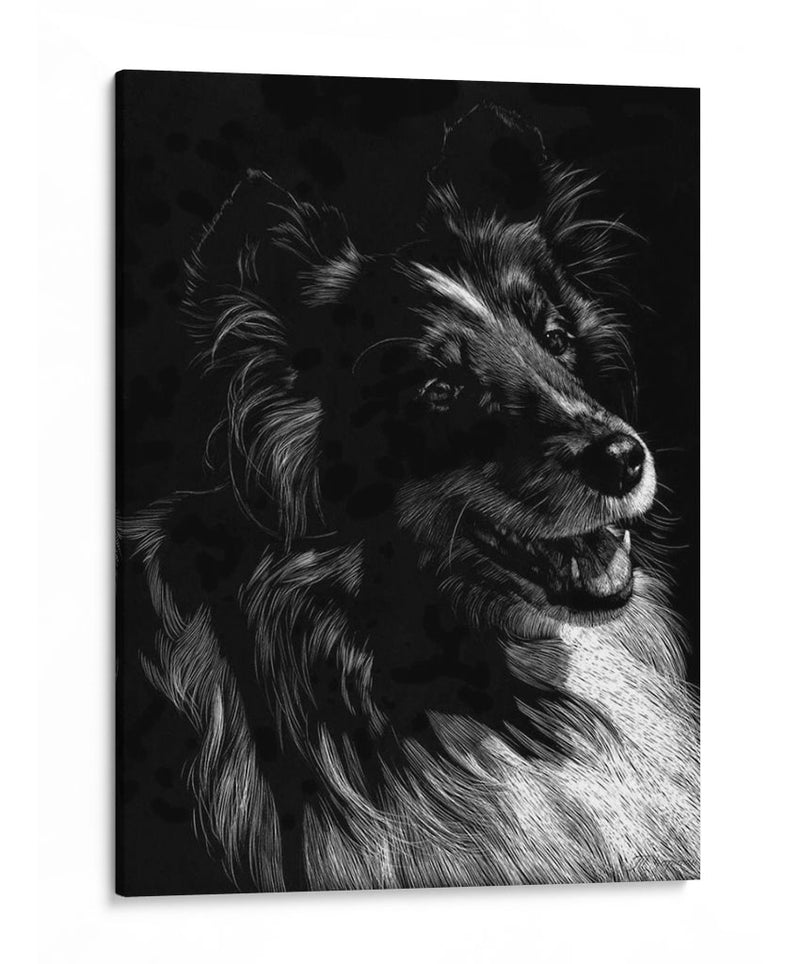 Canino Scratchboard Xi - Julie T. Chapman | Cuadro decorativo de Canvas Lab