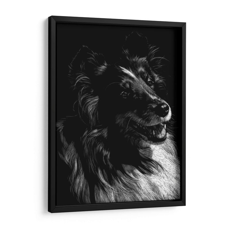 Canino Scratchboard Xi - Julie T. Chapman | Cuadro decorativo de Canvas Lab