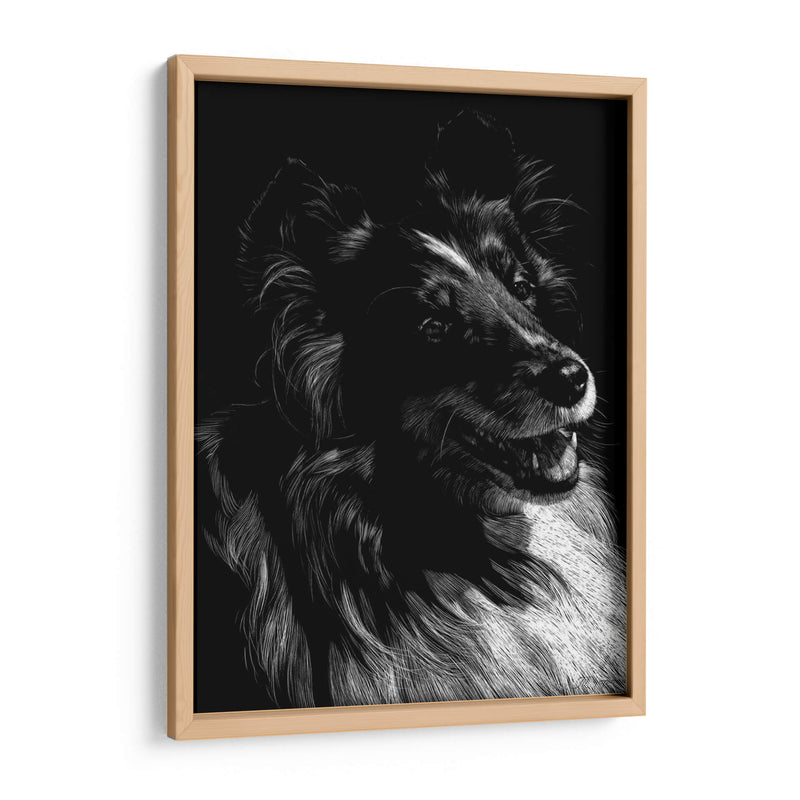 Canino Scratchboard Xi - Julie T. Chapman | Cuadro decorativo de Canvas Lab