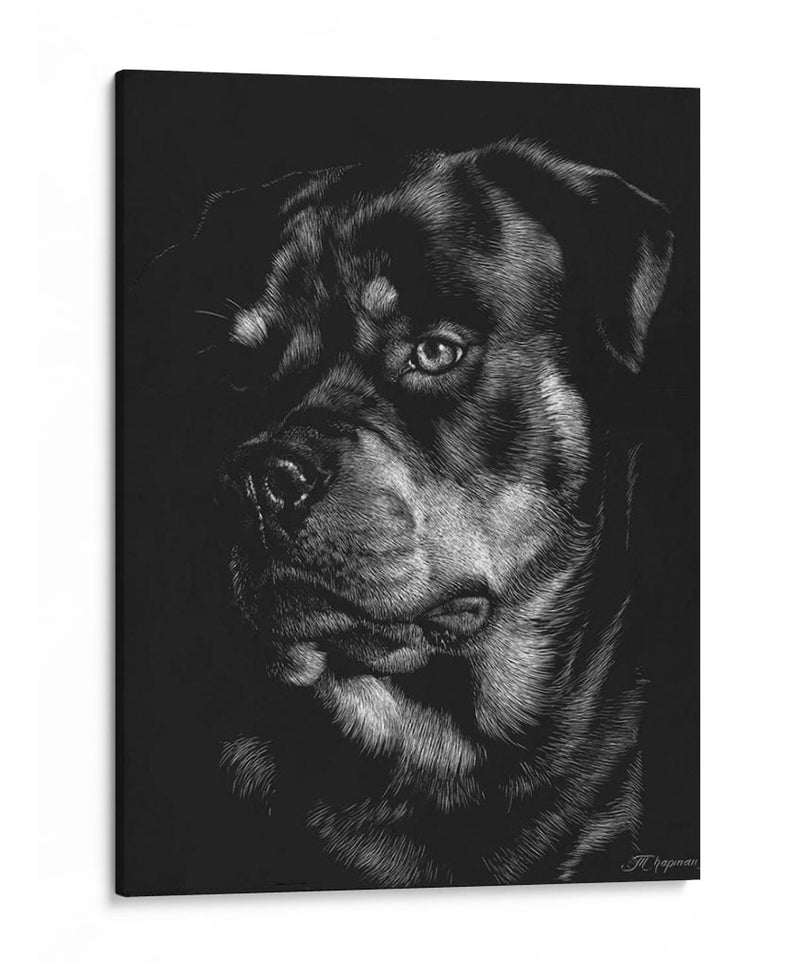 Scratchboard Canino Xii - Julie T. Chapman | Cuadro decorativo de Canvas Lab