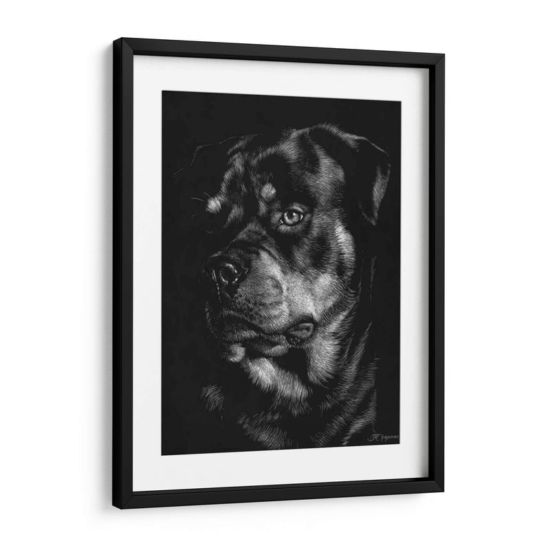 Scratchboard Canino Xii - Julie T. Chapman | Cuadro decorativo de Canvas Lab