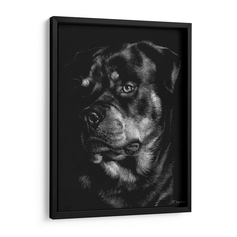 Scratchboard Canino Xii - Julie T. Chapman | Cuadro decorativo de Canvas Lab