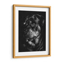Scratchboard Canino Xii - Julie T. Chapman | Cuadro decorativo de Canvas Lab