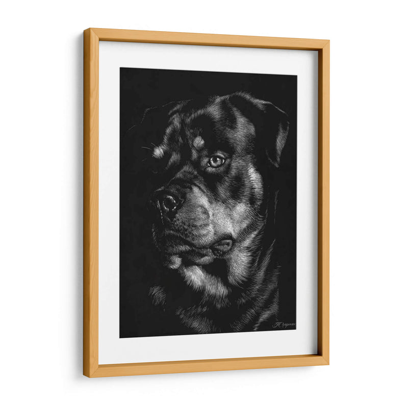 Scratchboard Canino Xii - Julie T. Chapman | Cuadro decorativo de Canvas Lab