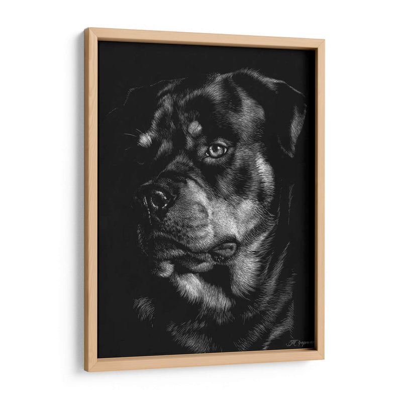 Scratchboard Canino Xii - Julie T. Chapman | Cuadro decorativo de Canvas Lab