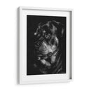 Scratchboard Canino Xii - Julie T. Chapman | Cuadro decorativo de Canvas Lab