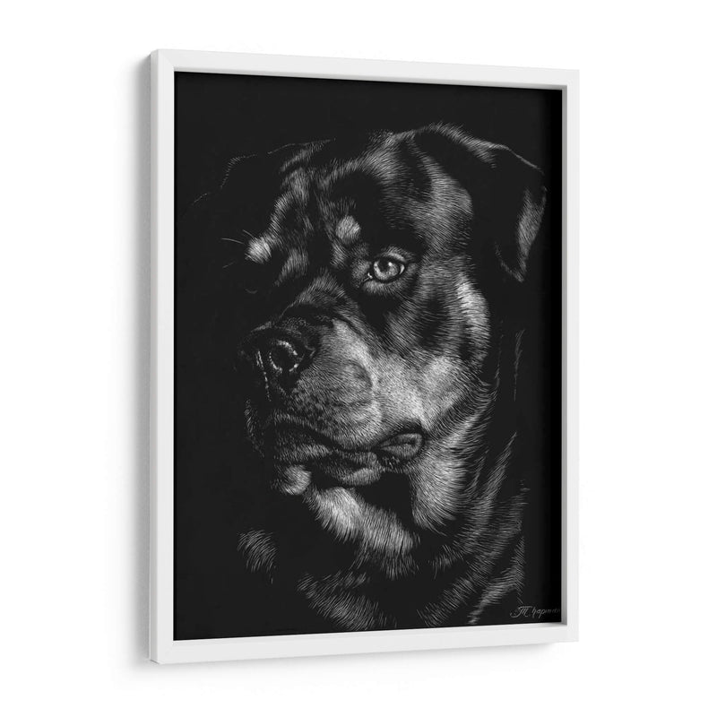 Scratchboard Canino Xii - Julie T. Chapman | Cuadro decorativo de Canvas Lab