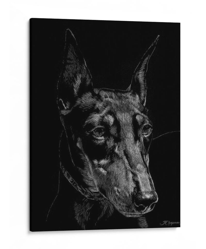 Canino Scratchboard Xiii - Julie T. Chapman | Cuadro decorativo de Canvas Lab