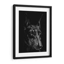 Canino Scratchboard Xiii - Julie T. Chapman | Cuadro decorativo de Canvas Lab