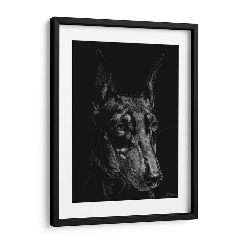 Canino Scratchboard Xiii - Julie T. Chapman | Cuadro decorativo de Canvas Lab