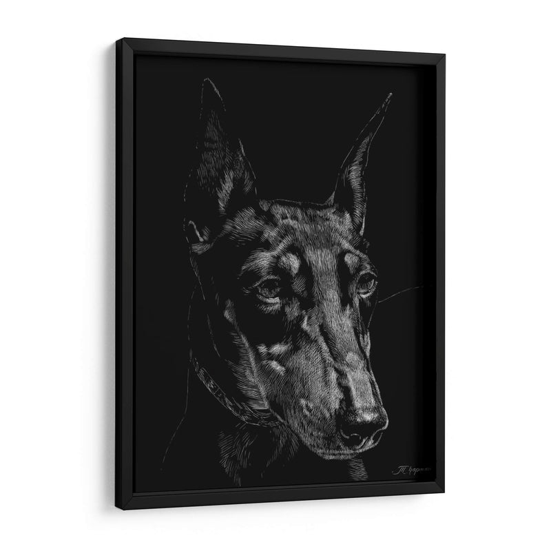 Canino Scratchboard Xiii - Julie T. Chapman | Cuadro decorativo de Canvas Lab