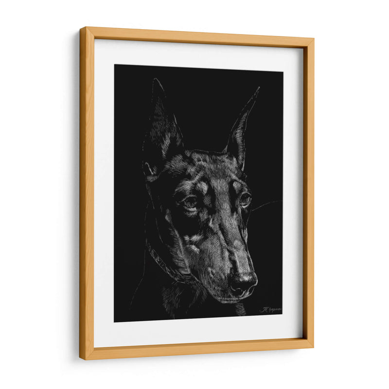 Canino Scratchboard Xiii - Julie T. Chapman | Cuadro decorativo de Canvas Lab