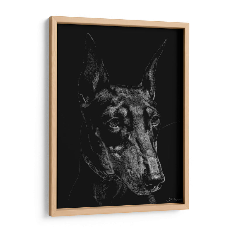 Canino Scratchboard Xiii - Julie T. Chapman | Cuadro decorativo de Canvas Lab