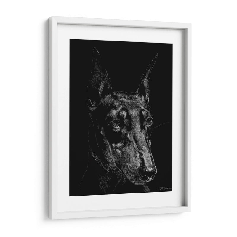 Canino Scratchboard Xiii - Julie T. Chapman | Cuadro decorativo de Canvas Lab