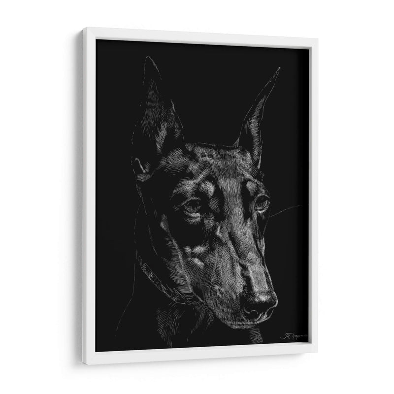 Canino Scratchboard Xiii - Julie T. Chapman | Cuadro decorativo de Canvas Lab