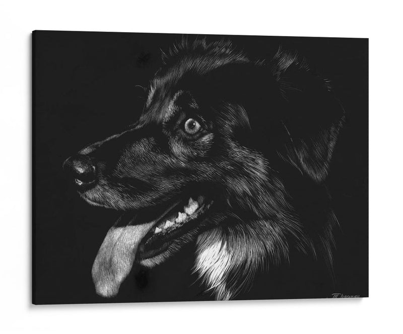 Scratchboard Canino Xiv - Julie T. Chapman | Cuadro decorativo de Canvas Lab