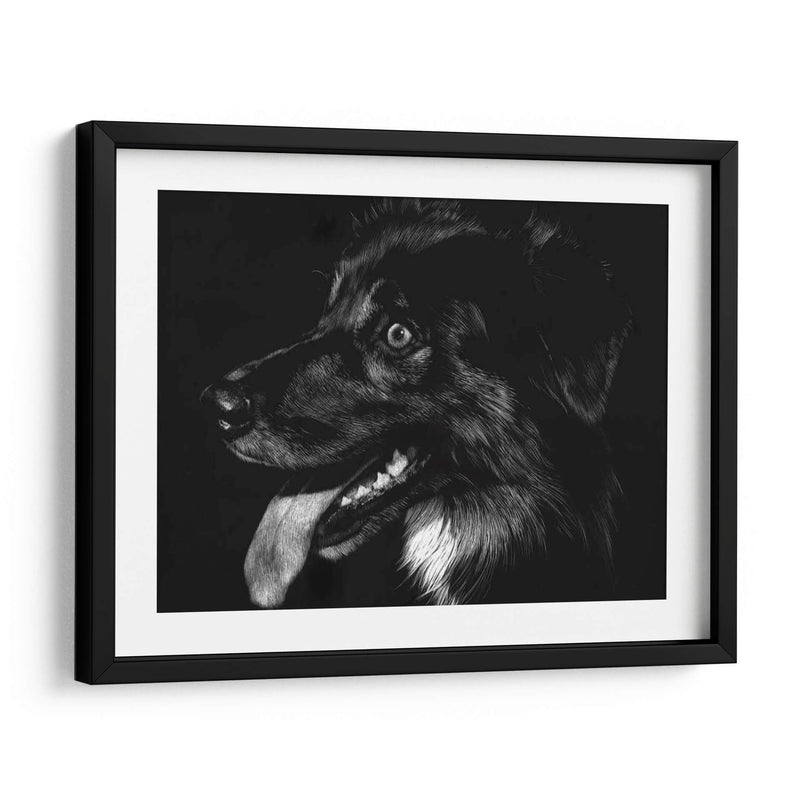 Scratchboard Canino Xiv - Julie T. Chapman | Cuadro decorativo de Canvas Lab