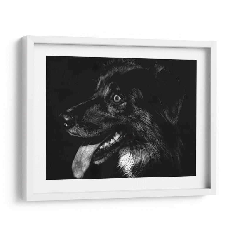 Scratchboard Canino Xiv - Julie T. Chapman | Cuadro decorativo de Canvas Lab