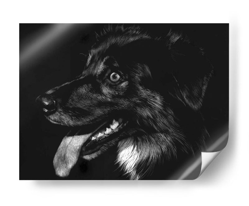 Scratchboard Canino Xiv - Julie T. Chapman | Cuadro decorativo de Canvas Lab