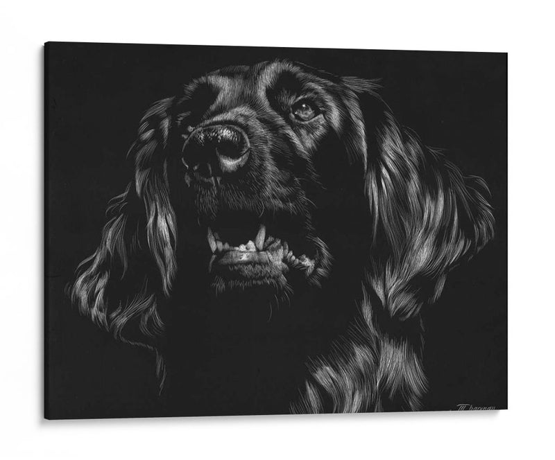 Canino Scratchboard Xv - Julie T. Chapman | Cuadro decorativo de Canvas Lab