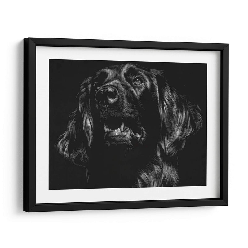 Canino Scratchboard Xv - Julie T. Chapman | Cuadro decorativo de Canvas Lab