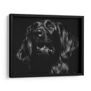 Canino Scratchboard Xv - Julie T. Chapman | Cuadro decorativo de Canvas Lab