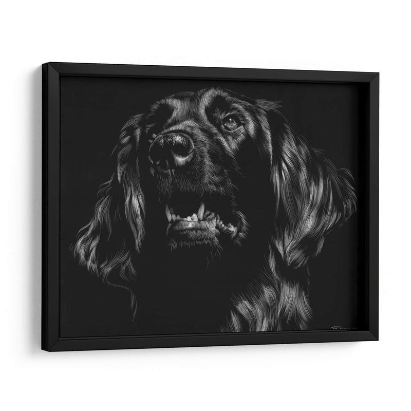 Canino Scratchboard Xv - Julie T. Chapman | Cuadro decorativo de Canvas Lab