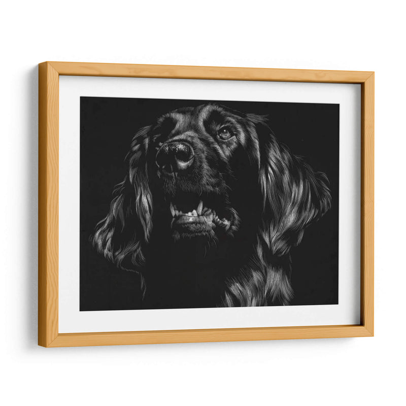 Canino Scratchboard Xv - Julie T. Chapman | Cuadro decorativo de Canvas Lab