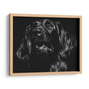 Canino Scratchboard Xv - Julie T. Chapman | Cuadro decorativo de Canvas Lab