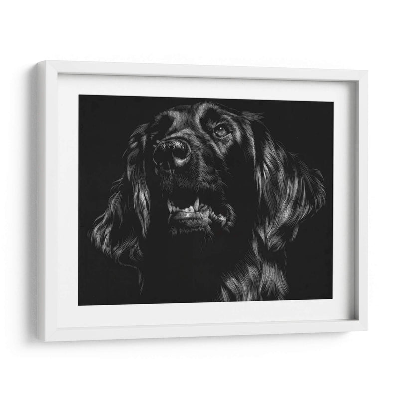 Canino Scratchboard Xv - Julie T. Chapman | Cuadro decorativo de Canvas Lab