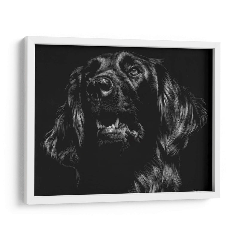 Canino Scratchboard Xv - Julie T. Chapman | Cuadro decorativo de Canvas Lab