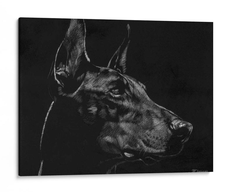 Scratchboard Canino Xvi - Julie T. Chapman | Cuadro decorativo de Canvas Lab