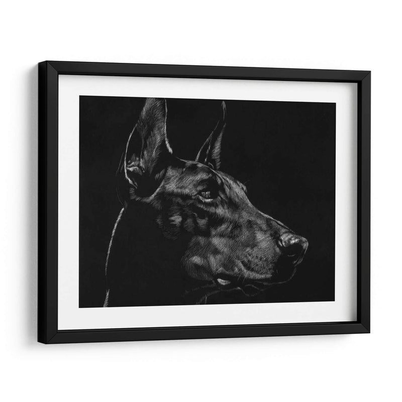 Scratchboard Canino Xvi - Julie T. Chapman | Cuadro decorativo de Canvas Lab