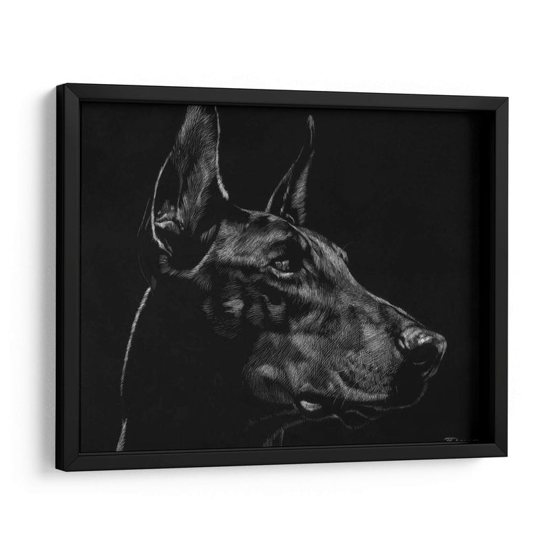 Scratchboard Canino Xvi - Julie T. Chapman | Cuadro decorativo de Canvas Lab