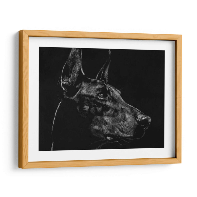 Scratchboard Canino Xvi - Julie T. Chapman | Cuadro decorativo de Canvas Lab