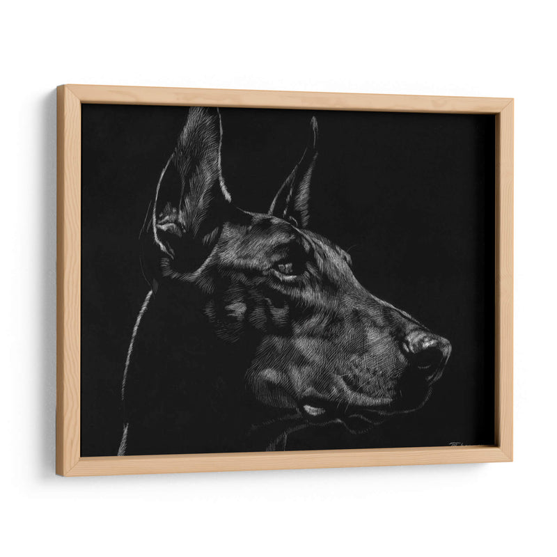 Scratchboard Canino Xvi - Julie T. Chapman | Cuadro decorativo de Canvas Lab