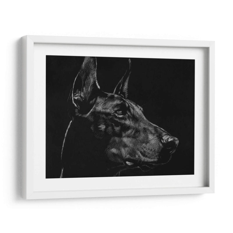 Scratchboard Canino Xvi - Julie T. Chapman | Cuadro decorativo de Canvas Lab