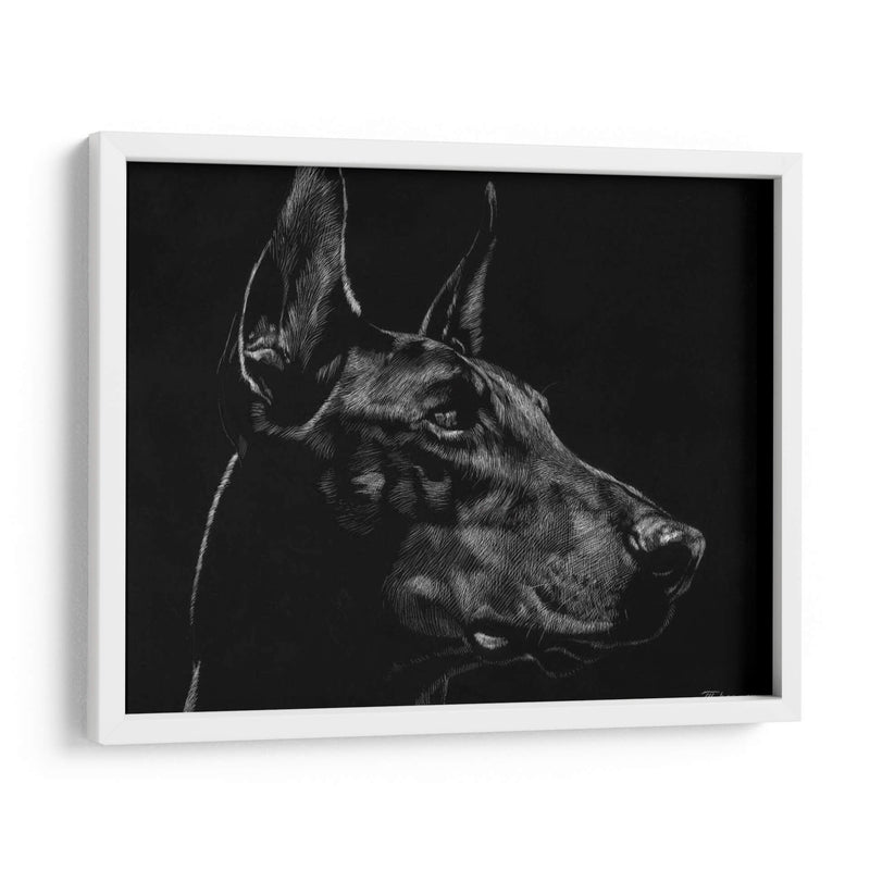 Scratchboard Canino Xvi - Julie T. Chapman | Cuadro decorativo de Canvas Lab